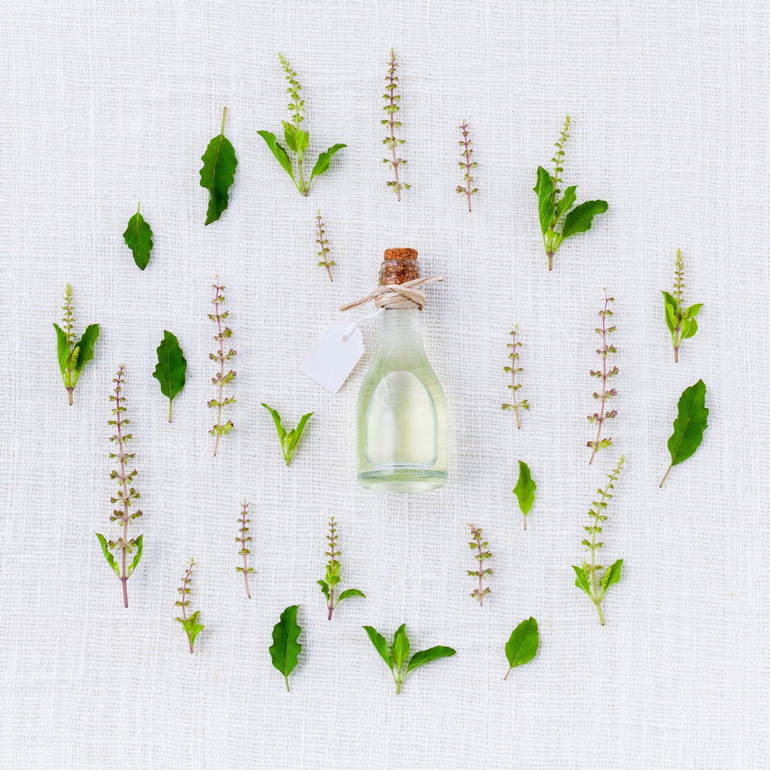 The Herb That Has Entire World ‘Rooting’ For It, Thanks To These 9 Benefits