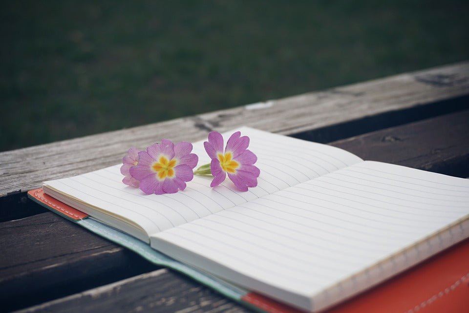 2 Steps to Raise the Quality of Your Life