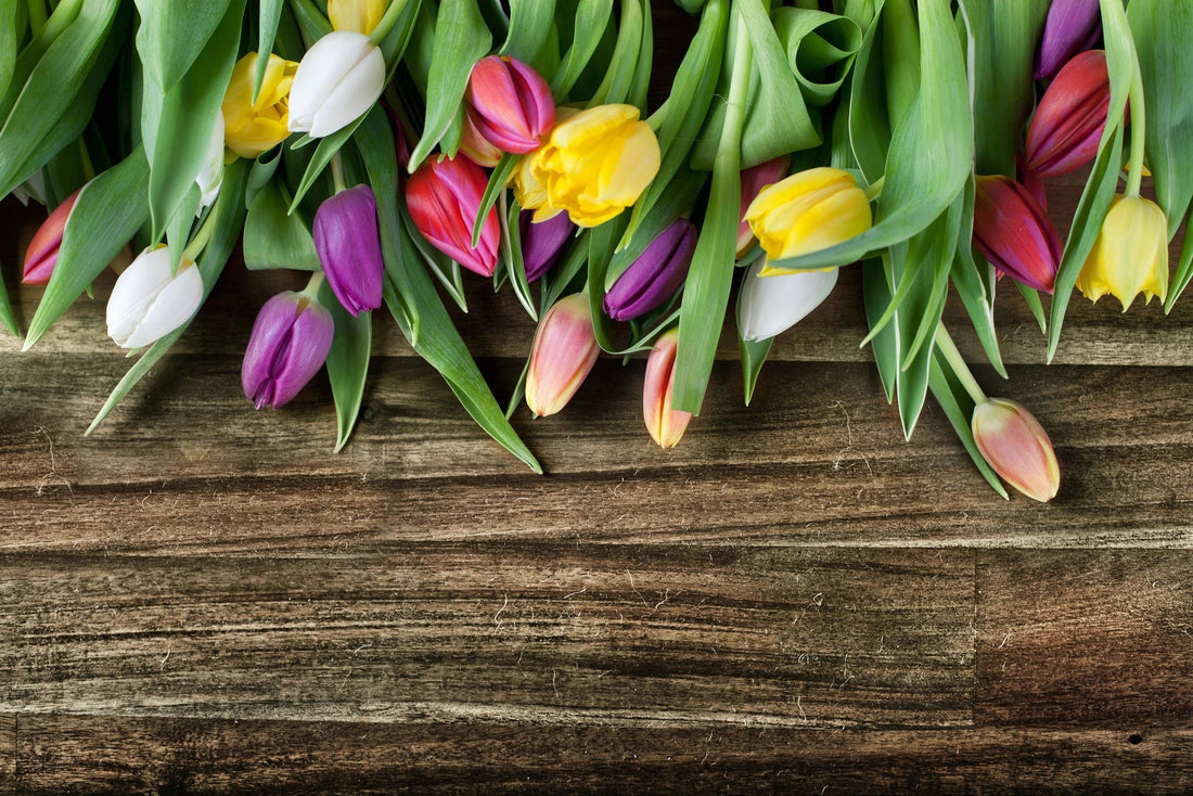 6 Ancient Secrets to Keep Allergies and Colds Away This Spring