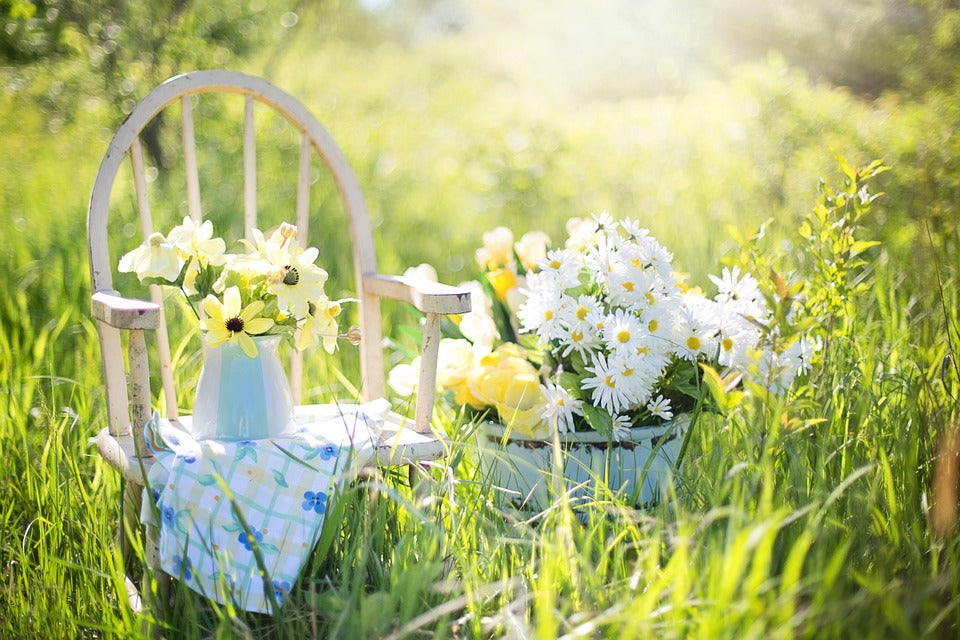 5 Ways to Clear Your Mind This Summer
