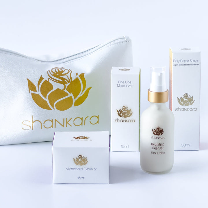Travel Kit For Oily (Pitta) Skin - Quiz Custom Offer