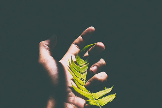 The Three Real Causes For Illness