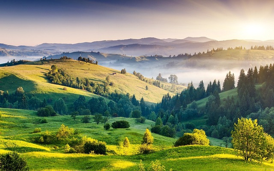 a scenic landscape.