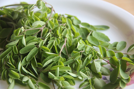 leaves of moringa plant in a plate.