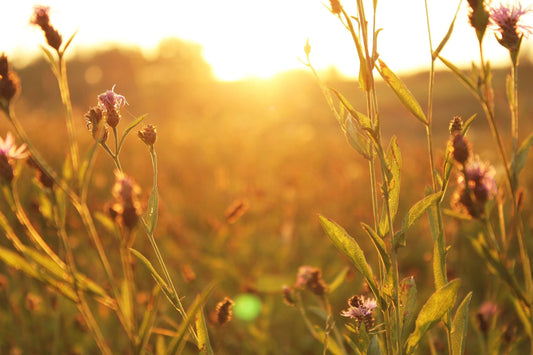 Are You Truly Independent? Three Ways To Understand Independence