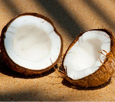 Coconut Oil