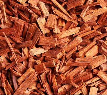 Red Sandalwood